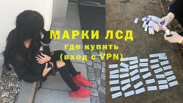 мяу мяу кристалл Алексин