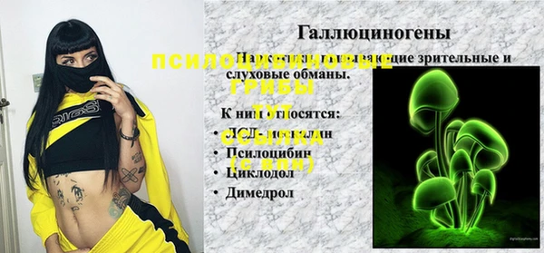 jwh Алзамай