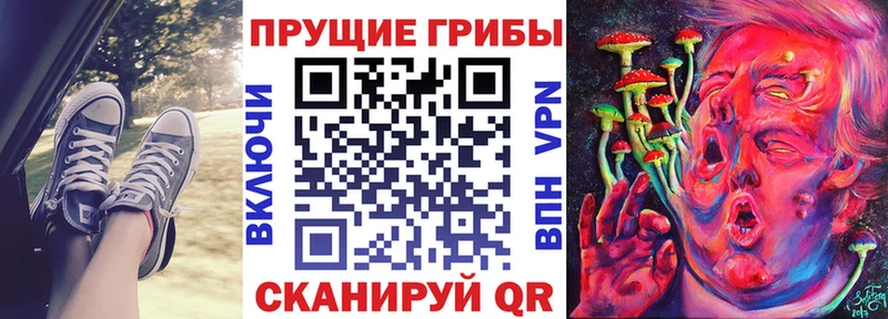 Купить где Саянск Псилоцибиновые грибы прущие грибы